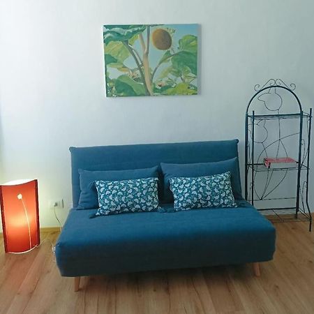 טורינו Pane E Tulipani, Cozy Apartment Near City Center מראה חיצוני תמונה