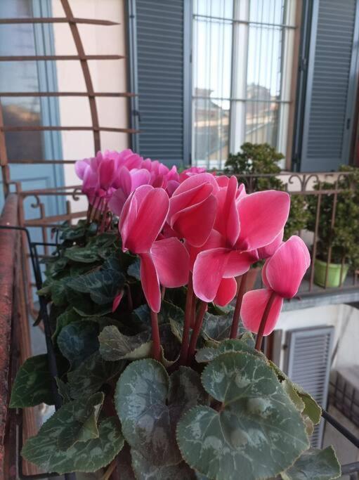 טורינו Pane E Tulipani, Cozy Apartment Near City Center מראה חיצוני תמונה